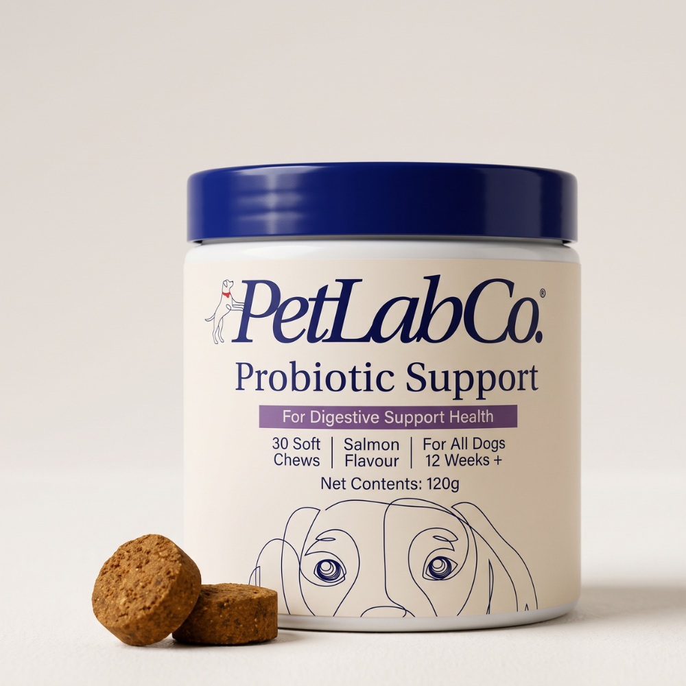 PetLab Co. Probiotic Chews for Dogs, Salmon Flavor, 2-Pack, Gut & Skin Support