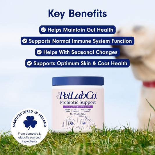 PetLab Co. Probiotic Chews for Dogs, Salmon Flavor, 2-Pack, Gut & Skin Support