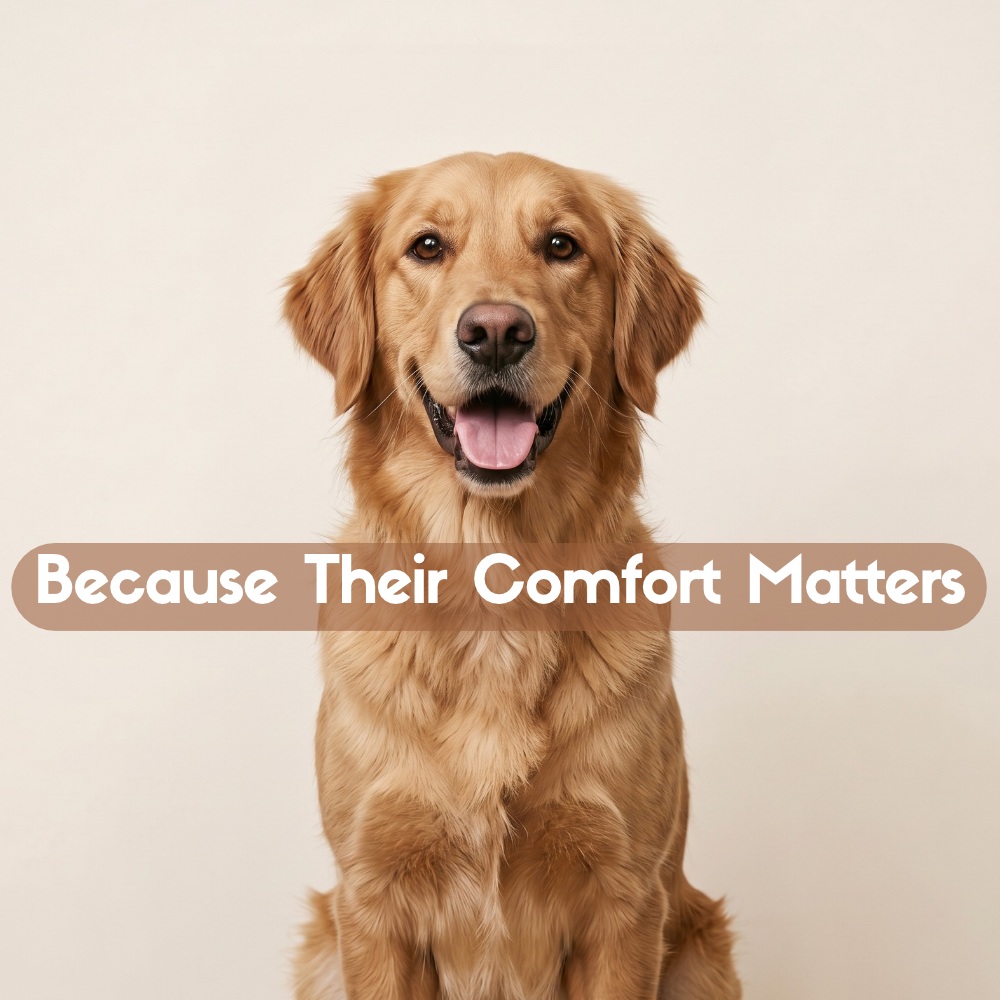 Pet Care Essentials