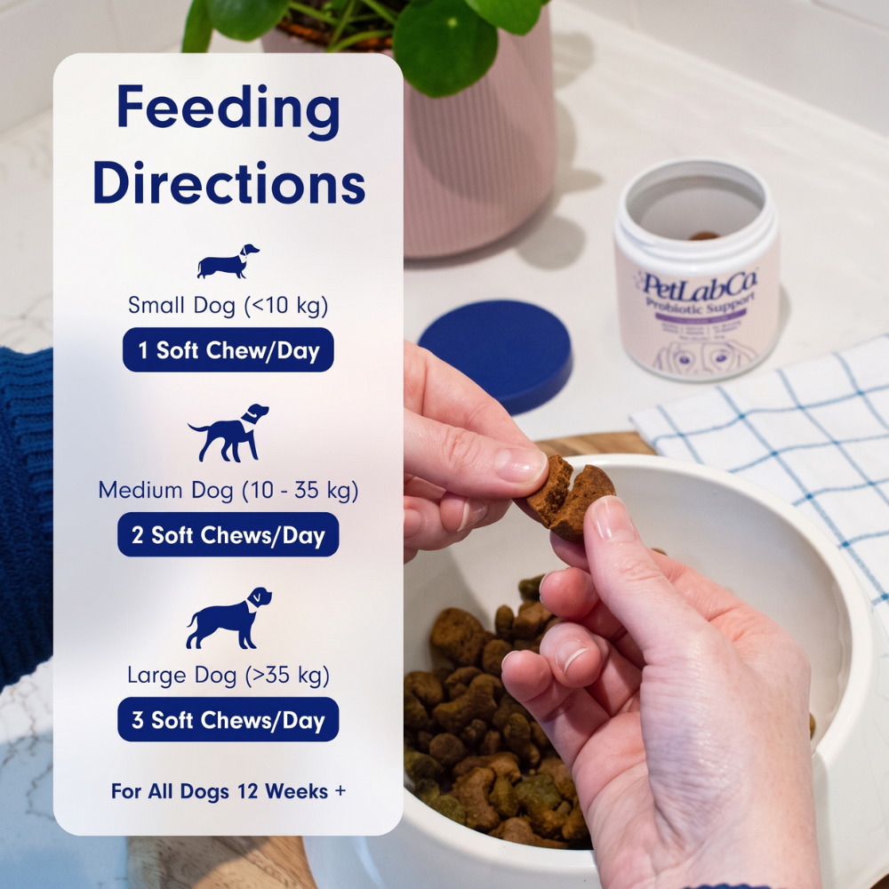 PetLab Co. Probiotic Chews for Dogs, Salmon Flavor, 2-Pack, Gut & Skin Support